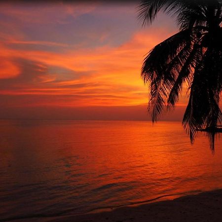 Sibaja Palms Sunset Beach Luxury Villa Taling Ngam-stranden Eksteriør billede