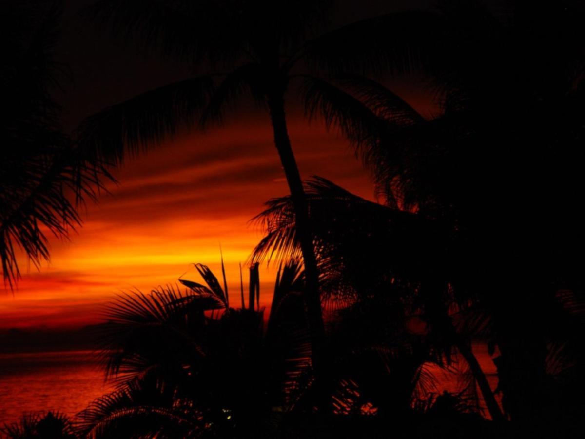 Sibaja Palms Sunset Beach Luxury Villa Taling Ngam-stranden Eksteriør billede